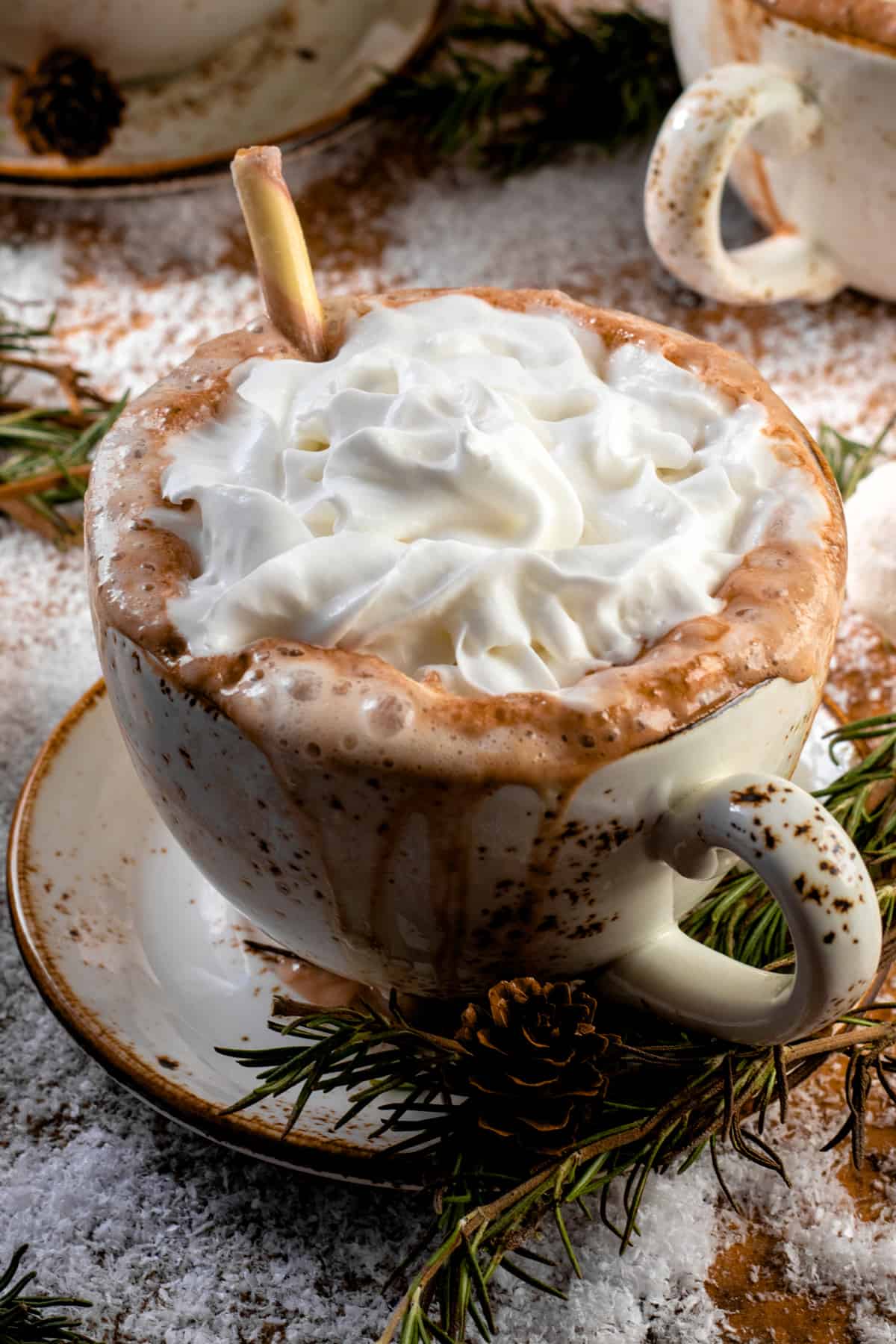Close up of mug of hot chocolate topped with whipped cream.