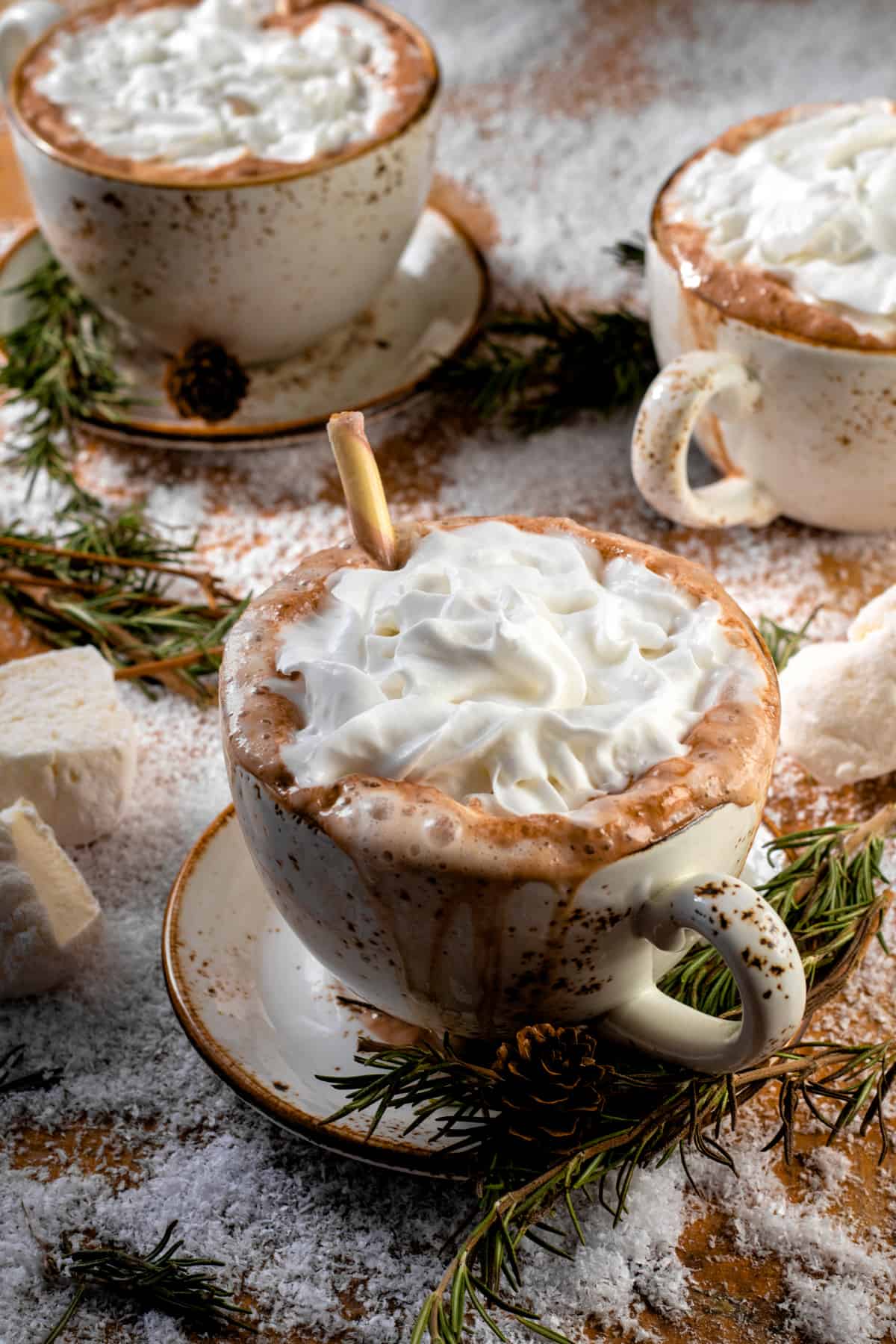Three mugs with saucers of hot chocolate topped with coconut whipped cream and garnished with rosemary.