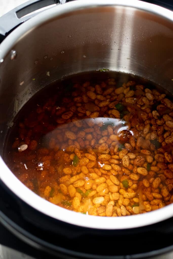 Beans before cooking in the instant pot.