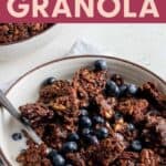 Bowl of granola with blueberries.