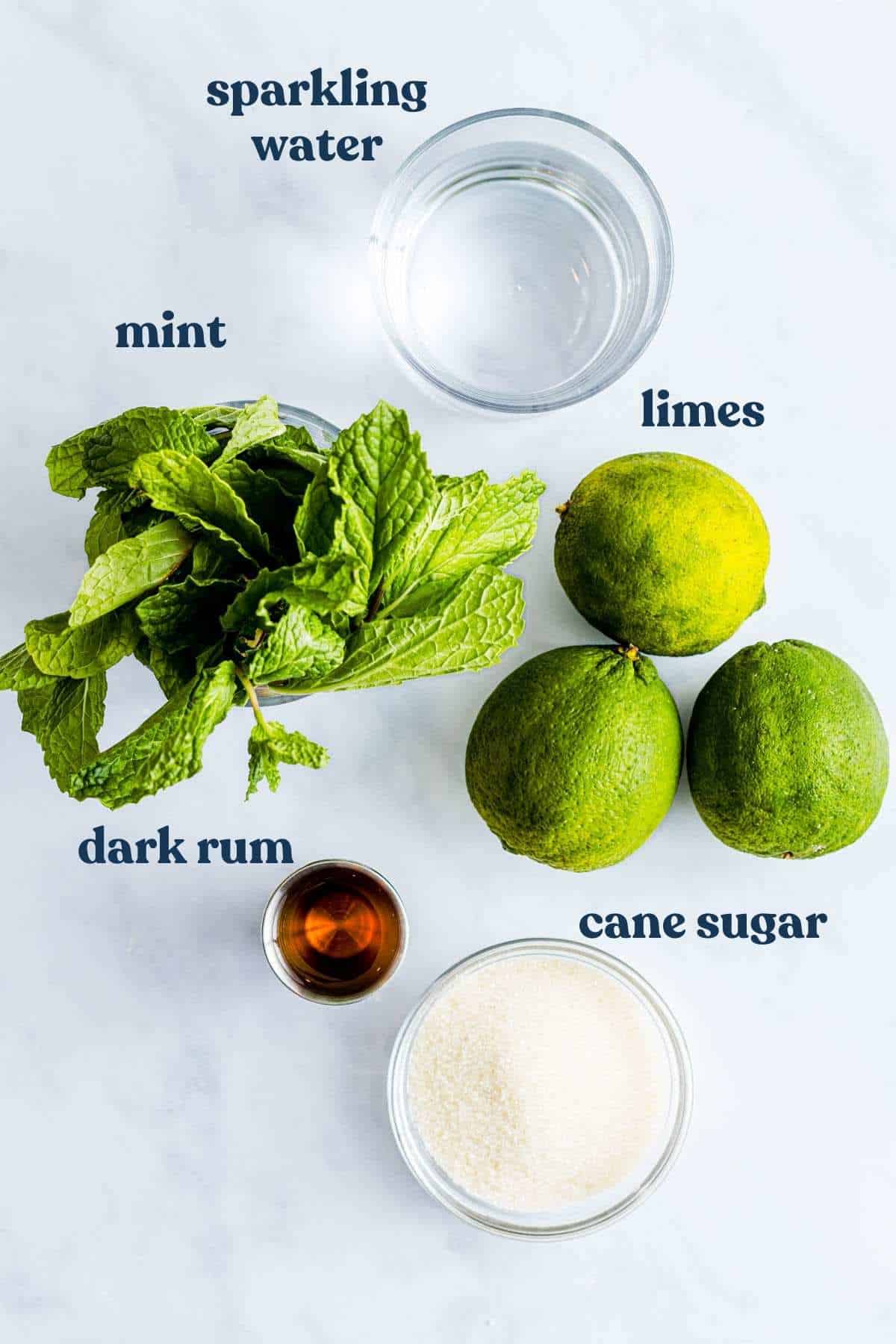 Ingredients for mint mojito with labels.
