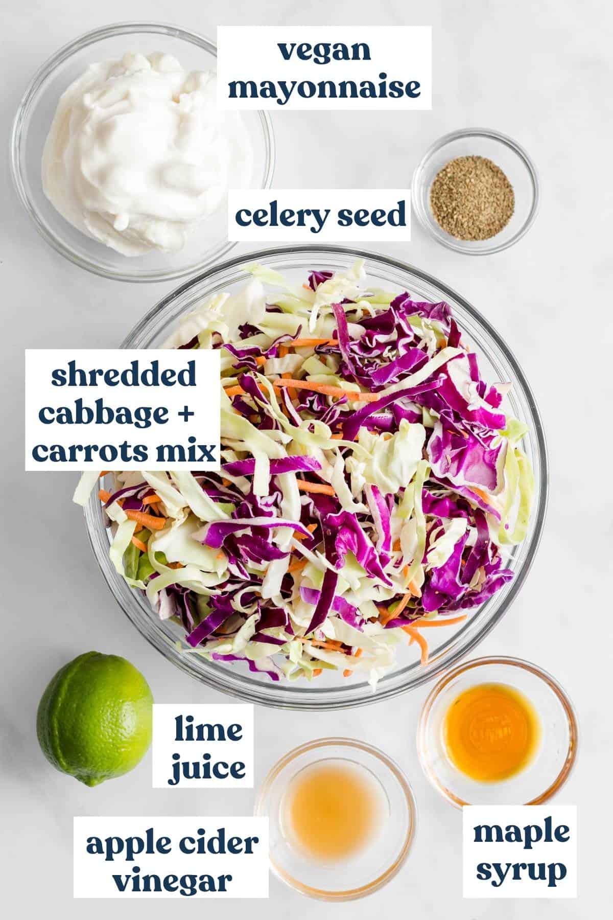 Coleslaw dressing ingredients measured and labeled on white background.