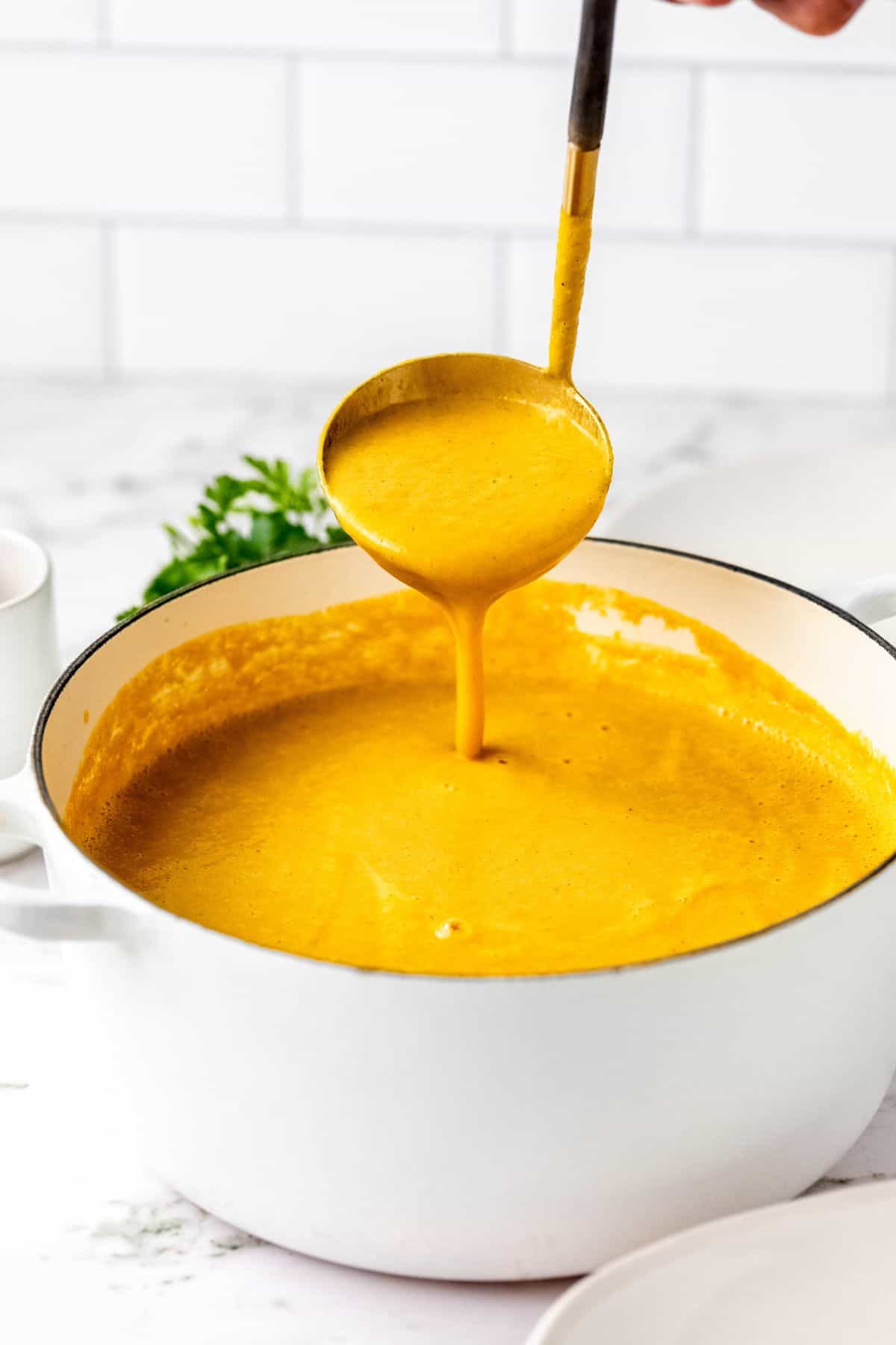 Pumpkin Soup Recipe - How to Make Pumpkin Soup