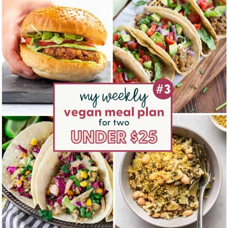 Weekly Vegan Meal Plan for 2 under $25 (Week 3)