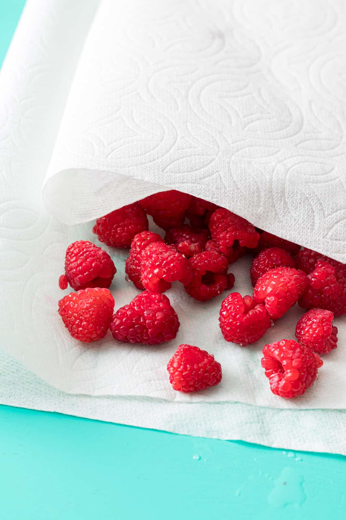 Drying berries off with paper towel.