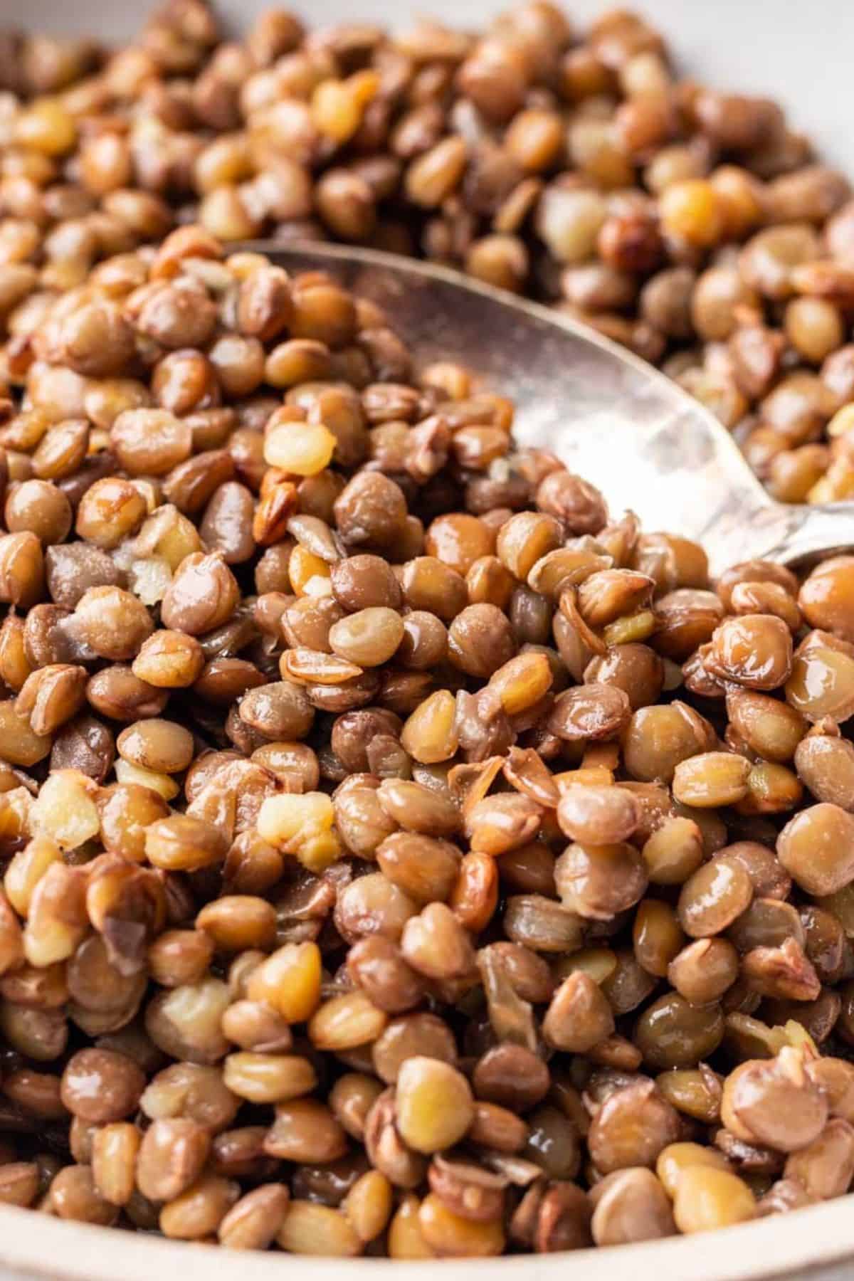 Closeup of cooked lentils.