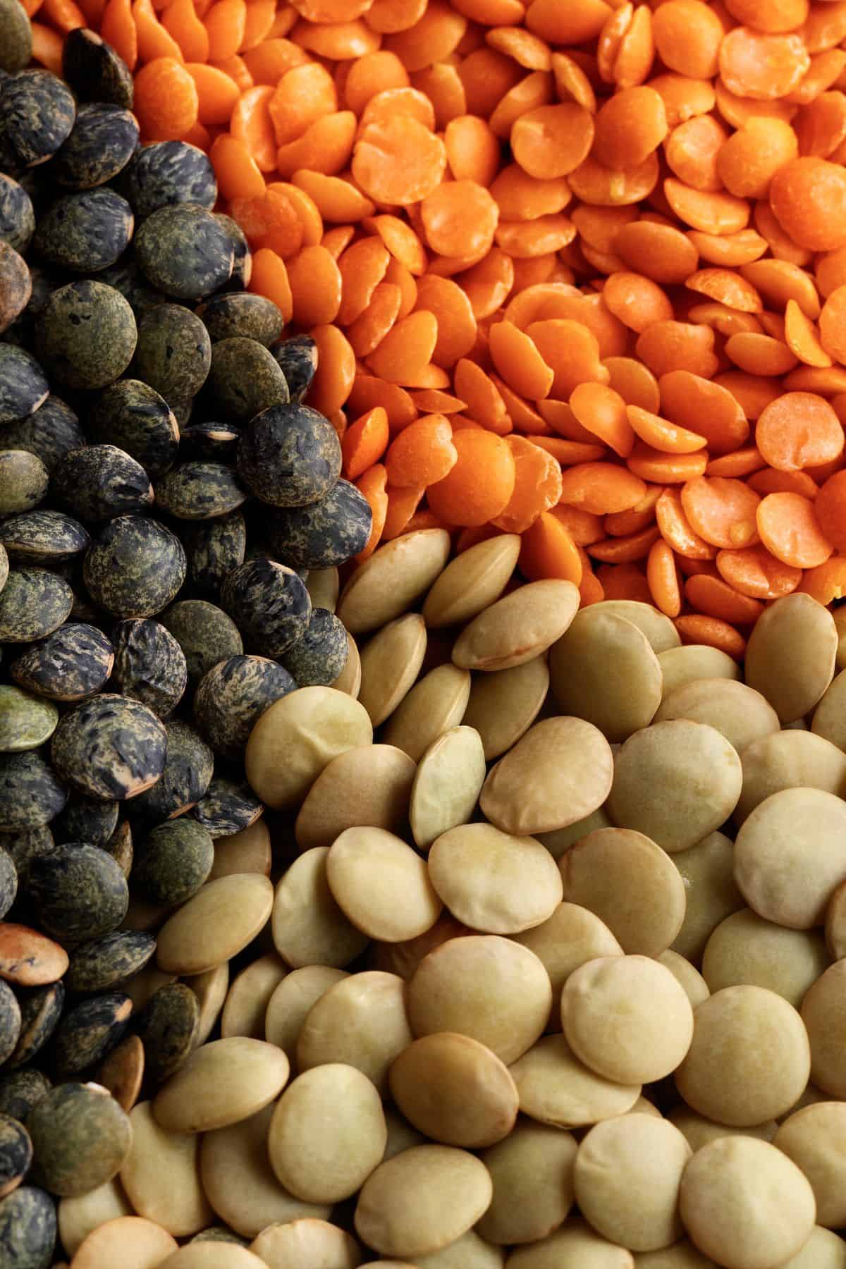 Closeup of red lentils, beluga lentils, and green lentils.
