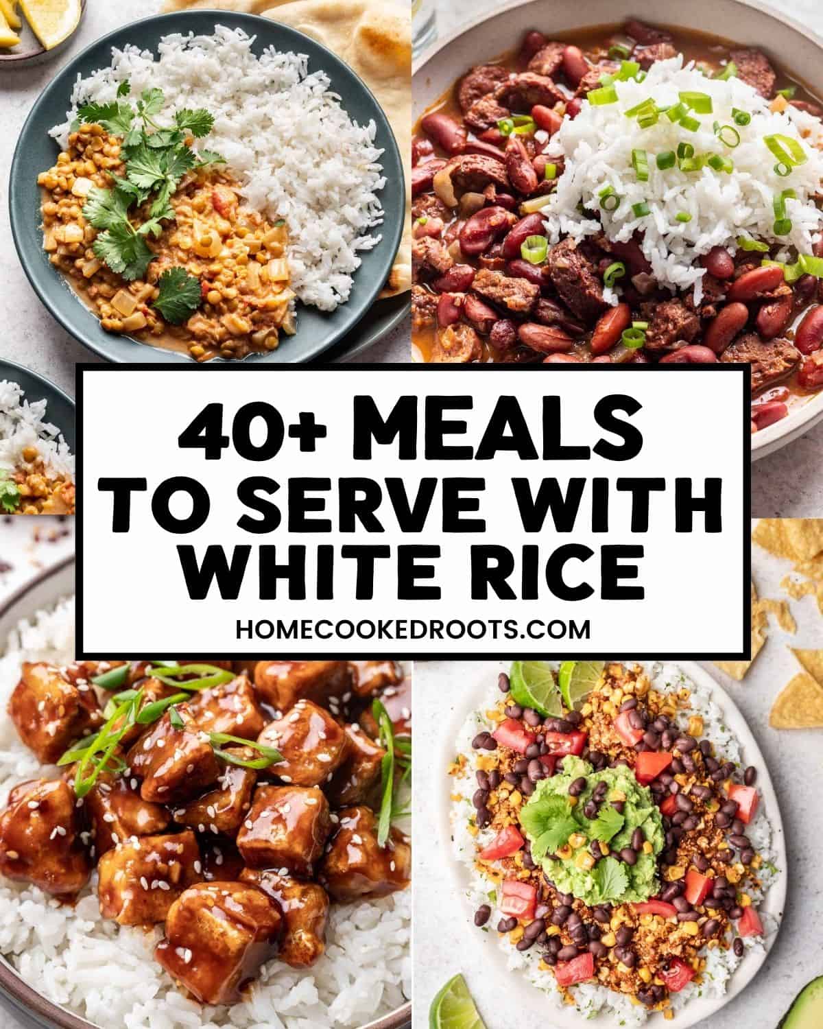 Collage of 4 recipes to serve with white rice with text that reads, 40+ Meals to Serve with White Rice.
