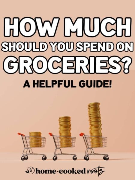 Three grocery carts with coins stacked in them. Overlay text that reads, how much should your family spend on groceries?