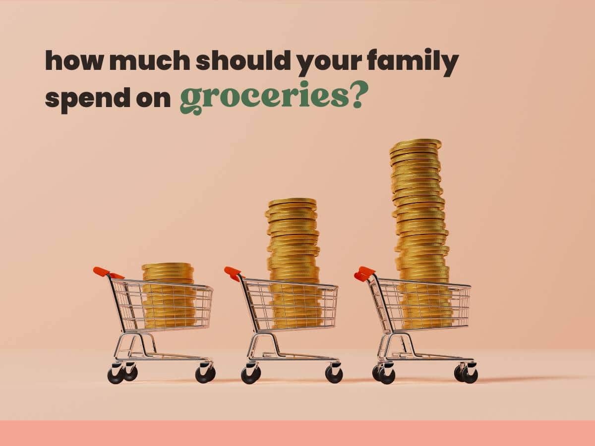 Three grocery carts with coins stacked in them. Overlay text that reads, how much should your family spend on groceries?