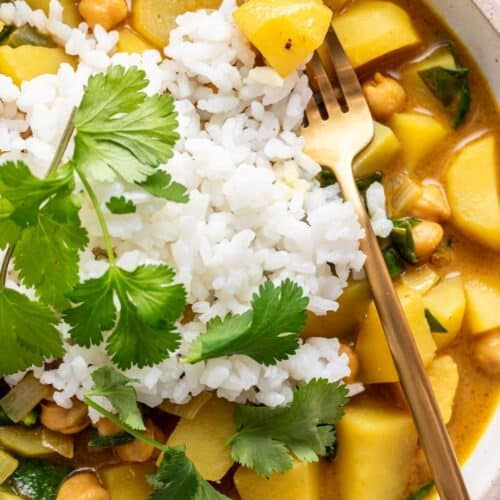 Bowl of curry topped with white rice and fresh cilantro.