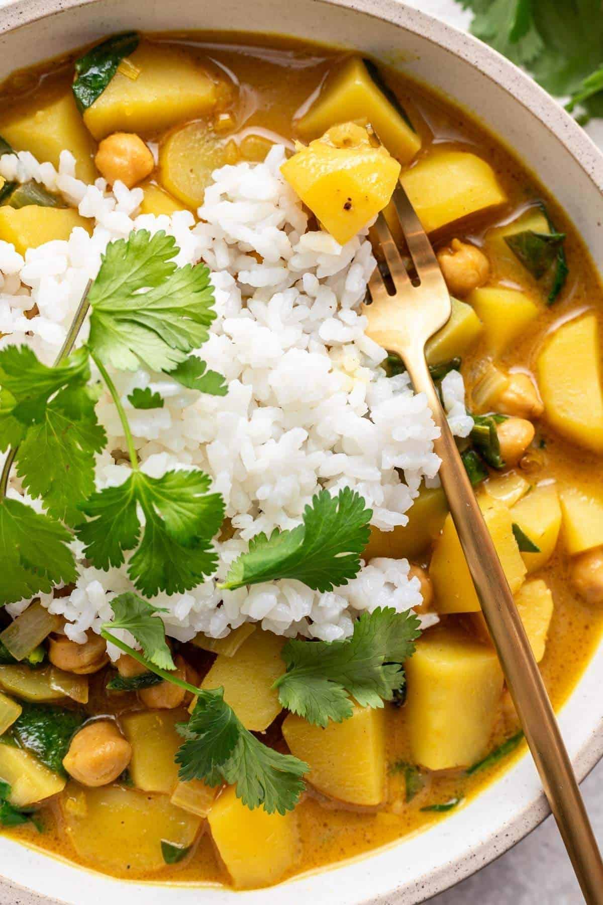 Bowl of curry topped with white rice and fresh cilantro. 